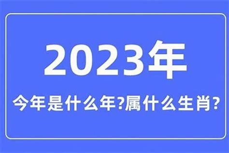 05年属什么|2005年属什么生肖 2005年属什么的生肖